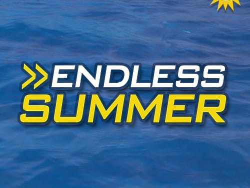 Endless Summer screenshot